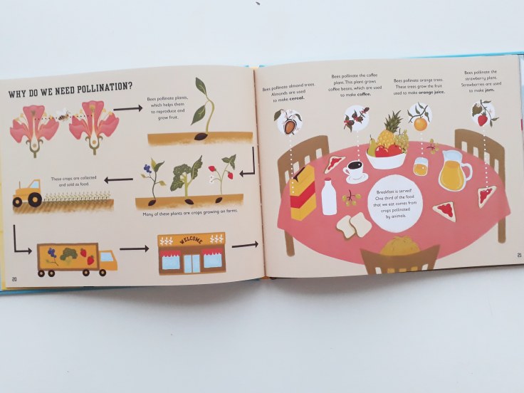 Pollination in The Bee Book by Charlotte Milner DK Books
