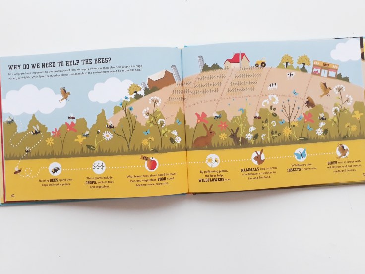 Why do we need to help bees in The Bee Book by Charlotte Milner DK Books