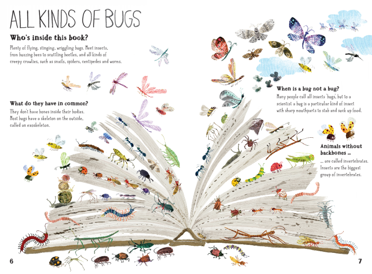 All kinds of bugs in The Big Book of Bugs by Yuval Zommer
