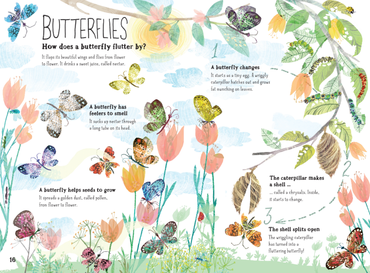 Butterflies in The Big Book of Bugs by Yuval Zommer