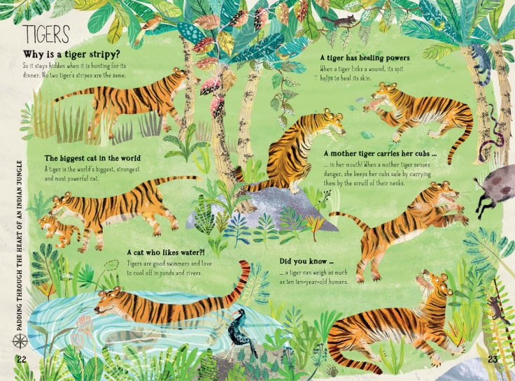 Tigers in The Big Book of Beasts by Yuval Zommer